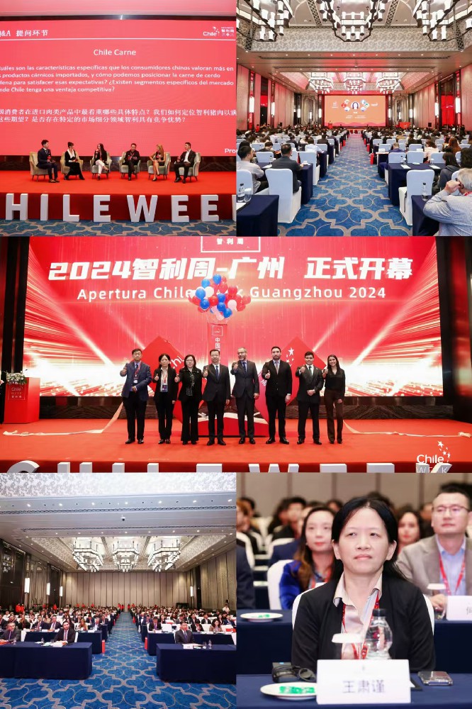 市贸促会借“智利周”活动，共促交流合作